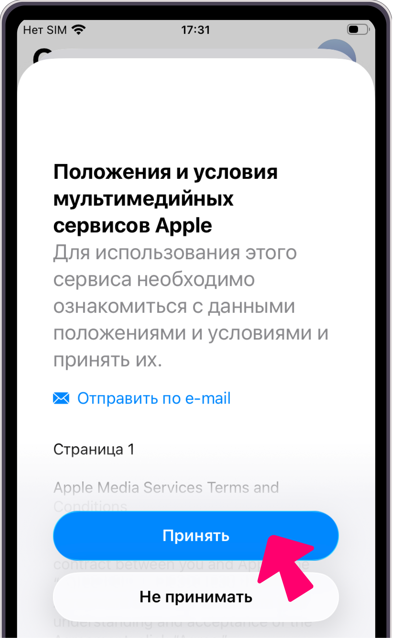 Положения и условия — Принять